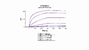 Click to enlarge image The affinity and binding kinetics of CPTC-RB1-4 antibody and BSA-conjugated phosphorylated peptide “ILVSIGESFG-pT-SEK" were measured using biolayer interferometry. BSA-conjugated peptide was covalently immobilized onto AR2G biosensors using standard amine coupling.   CPTC-RB1-4 antibody, 256 nM, 64 nM, 16 nM, 4 nM, 1 nM and 0.25 nM, was used as analyte. Buffer only and biosensors immobilized without BSA-conjugated peptide were used as references for background subtraction. All data was analyzed globally using a 1:2 bivalent model.