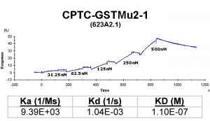 Click to enlarge image Kinetic titration data for GSTMu2-1 Ab (623A2.1) using Biacore SPR method