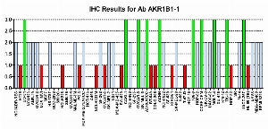 点击放大NCI60细胞株阵列滴度为1:500的CPTC-AKR1B1-1的免疫组化图像0=否定1=弱（红色）2=中等（蓝色）3=强（绿色）
