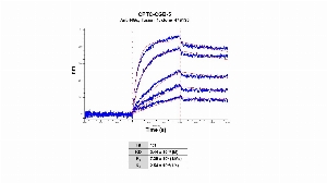 Click to enlarge image The affinity and binding kinetics of CPTC-CGB-5 and BSA-conjugated Chorionic Gonadotropin Subunit Beta Peptide 2 (BSA-CDHPLT(CAM)DDRP) was measured using biolayer interferometry. CPTC-CGB-5 was covalently immobilized on amine-reactive second-generation sensors. BSA-conjugated peptide, 2.0 nM, 1.0 nM, 0.25 nM, 0.125 nM and 0.0625 nM, was used as analyte.