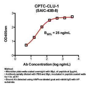 Click to enlarge image Indirect ELISA (ie, binding of Antibody to Peptide coated plate). Note: B50% represents the concentration of Ab required to generate 50% of maximum binding.