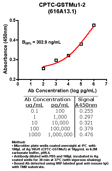 点击放大图像间接ELISA（即抗体与抗原涂层板的结合）