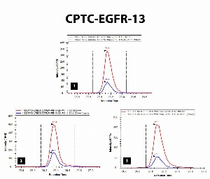 Click to enlarge image iMRM screening results for clone CPTC-EGFR-13. The clone is able to pull down not only the target peptide (panel 1, CPTC-EGFR Peptide 4, YSSDPTGALTEDSIDDTFLPVPE(pY)INQSVPKP), but also the two following peptides: 
non-phosphorylated peptide (YSSDPTGALTEDSIDDTFLPVPEYINQSVPK, panel 2)
phosphorylated peptide ((pY)SSDPTGALTEDSIDDTFLPVPEYINQSVPK. panel 3).

Data provided by the Paulovich Lab, Fred Hutch (https://research.fredhutch.org/paulovich/en.html)