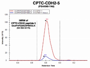Click to enlarge image Immuno-MRM chromatogram of CPTC-CDH2-5 antibody with CPTC-CDH2 peptide 5 (NCI ID#176) as target