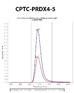 Click to enlarge image Immuno-MRM chromatogram of CPTC-PRDX4-5  antibody (see CPTAC assay portal for details: https://assays.cancer.gov/CPTAC-714)
Data provided by the Paulovich Lab, Fred Hutch (https://research.fredhutch.org/paulovich/en.html). Data shown were obtained from plasma.