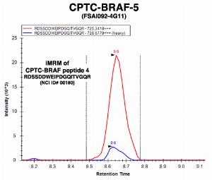 Click to enlarge image Immuno-MRM chromatogram of CPTC-BRAF-5 antibody with CPTC-BRAF peptide 4 (NCI ID#180) as target