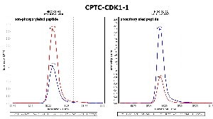 Click to enlarge image Immuno-MRM chromatogram of CPTC-CDK1-1 antibody (see CPTAC assay portal for details: https://assays.cancer.gov/CPTAC-5897 for non-phosphorylated peptide and https://assays.cancer.gov/CPTAC-5798  for phosphorylated peptide)
Data provided by the Paulovich Lab, Fred Hutch (https://research.fredhutch.org/paulovich/en.html). Data shown were obtained from cell lysate.