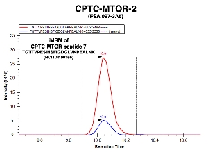 Click to enlarge image Immuno-MRM chromatogram of CPTC-MTOR-2 antibody with CPTC-MTOR peptide 7 (NCI ID#00166) as target
