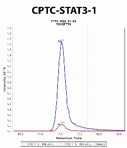 Click to enlarge image Immuno-MRM chromatogram of CPTC-STAT3-1 antibody (see CPTAC assay portal for details: https://assays.cancer.gov/CPTAC-5962)
Data provided by the Paulovich Lab, Fred Hutch (https://research.fredhutch.org/paulovich/en.html). Data shown were obtained from FFPE tumor tissue lysate pool.