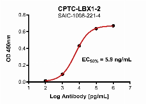 点击放大图像，使用CPTC-LBX1-2作为全长LBX1蛋白的主要抗体的间接ELISA。