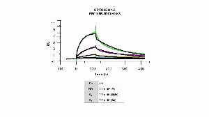 Click to enlarge image The affinity and binding kinetics of CPTC-IDO1-3 and human  indoleamine   2,3-dioxygenase   1   (IDO1) recombinant protein were measured using surface plasmon resonance.  Buffer exchanged IDO1 recombinant protein was immobilized onto a Series S CM5 sensor chip. CPTC-IDO1-3 antibody at 1024 nM, 256 nM, 64 nM, 16 nM and 4 nM, was used as analyte. Binding data were double-referenced and analyzed globally using a 1:1 fitting model.