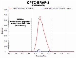 Click to enlarge image Immuno-MRM chromatogram of CPTC-BRAF-3 antibody with CPTC-BRAF peptide 3 (NCI ID#179) as target