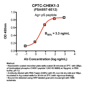 Click to enlarge image Indirect ELISA (ie, binding of Antibody to biotinylated phospho-peptide coated on a NeutrAvidin plate). Note: B50% represents the concentration of Ab required to generate 50% of maximum binding.