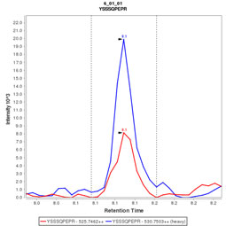 Click to enlarge image mmuno-MRM chromatogram of CPTC-CHEK1-5 antibody (see CPTAC assay portal for details: https://assays.cancer.gov/CPTAC-3223) 

Data provided by the Paulovich Lab, Fred Hutch (https://research.fredhutch.org/paulovich/en.html)