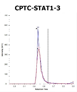 Click to enlarge image Immuno-MRM chromatogram of CPTC-STAT1-3. The antibody specifically recognizes the phosphorylated peptide GTG(pY)IK.
Data provided by the Paulovich Lab, Fred Hutch (https://research.fredhutch.org/paulovich/en.html). Data shown were obtained from synthetic peptide.