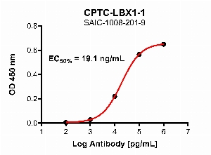 Click to enlarge image Indirect ELISA using CPTC-LBX1-1 as primary antibody against full length LBX1 protein.