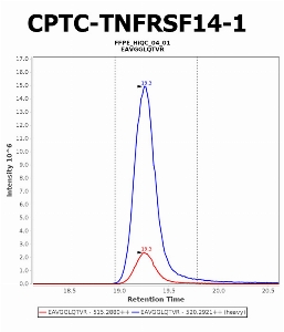 Click to enlarge image Immuno-MRM chromatogram of CPTC-TNFRSF14-3 antibody (see CPTAC assay portal for details: https://assays.cancer.gov/CPTAC-5985).Data provided by the Paulovich Lab, Fred Hutch (https://research.fredhutch.org/paulovich/en.html). Data shown were obtained from FFPE tumor tissue lysate pool