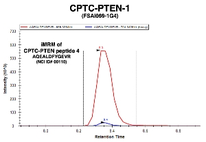 Click to enlarge image Immuno-MRM chromatogram of CPTC-PTEN-1 antibody with CPTC-PTEN peptide 4 (NCI ID#110) as target
