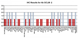 Click to enlarge image Immunohistochemistry of CPTC-GCLM-2 for NCI60 Cell Line Array. Data scored as:
0=NEGATIVE
1=WEAK (red)
2=MODERATE (blue)
3=STRONG (green)
Titer: 1:100