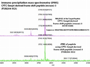 Click to enlarge image IPMS using CPTC-Senp6 derived frame shift peptide (mouse)-3 as capture Ab against CPTC-Senp6 derived frame shift peptide (mouse)-1 (NCI ID 00285) in bottom panel. Also included reference of Ag QC (top panel).