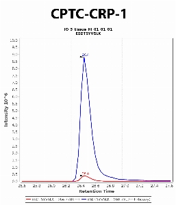 Click to enlarge image Immuno-MRM chromatogram of CPTC-CRP-1 antibody (see CPTAC assay portal for details: https://assays.cancer.gov/CPTAC-6228)
Data provided by the Paulovich Lab, Fred Hutch (https://research.fredhutch.org/paulovich/en.html). Data shown were obtained from frozen tissue