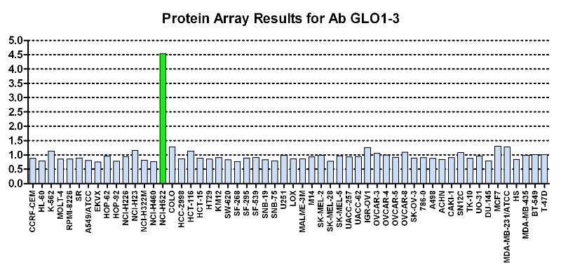 Click to enlarge image Protein Array in which CPTC-AKR1B1-1 is screened against the NCI60 cell line panel for expression. Data is normalized to a mean signal of 1.0 and standard deviation of 0.5. Color conveys over-expression level (green), basal level (blue), under-expression level (red). 