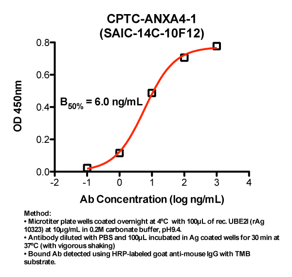 Click to enlarge image Indirect ELISA (ie, binding of Antibody to full-length Antigen coated on plate). Note: B50% represents the concentration of Ab required to generate 50% of maximum binding.