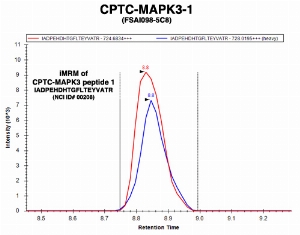 Click to enlarge image Immuno-MRM chromatogram of CPTC-MAPK3-1 antibody with CPTC-MAPK3 peptide 1 (NCI ID#00208) as target
