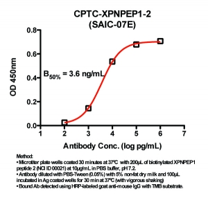 Click to enlarge image Indirect ELISA (ie, binding of Antibody to biotinylated peptide coated on a NeutrAvidin plate). Note: B50% represents the concentration of Ab required to generate 50% of maximum binding.