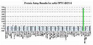 Click to enlarge image Protein Array in which CPTC-IDO1-5 is screened against the NCI60 cell line panel for expression. Data is normalized to a mean signal of 1.0 and standard deviation of 0.5. Color conveys over-expression level (green), basal level (blue), under-expression level (red).