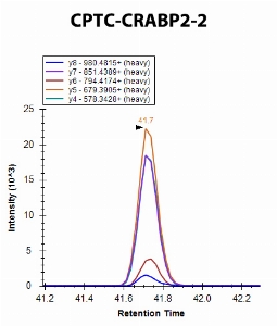 Click to enlarge image iMRM screening of CPTC-CRABP2-2 against synthetic peptide QEGDTFYIK (Cellular Retinoic Acid Binding Protein 2 Peptide 2)

Data provided by the Carr Lab, Broad Institute
https://www.broadinstitute.org/proteomics/protocols