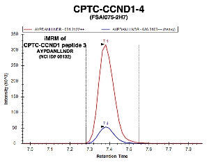 Click to enlarge image Immuno-MRM chromatogram of CPTC-CCND1-4 antibody with CPTC-CCND1 peptide 3 (NCI ID#00132) as target