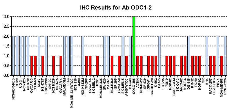 Click to enlarge image Immuno-histochemistry of CPTC-ODC1-2 for NCI60  Cell Line Array at titer 1:500
0=NEGATIVE
1=WEAK (red)
2=MODERATE(blue)
3=STRONG(green)
Titer: 1:100
