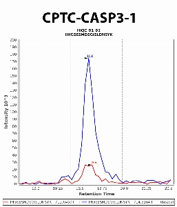 Click to enlarge image Immuno-MRM chromatogram of CPTC-SERPINA6-1 antibody (see CPTAC assay portal for details: https://assays.cancer.gov/CPTAC-5907)
Data provided by the Paulovich Lab, Fred Hutch (https://research.fredhutch.org/paulovich/en.html). Data shown were obtained from cell lysates
