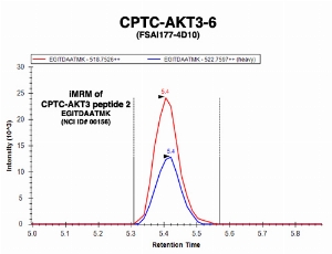 Click to enlarge image Immuno-MRM chromatogram of CPTC-AKT3-6 antibody with CPTC-AKT3 peptide 2 (NCI ID#00156) as target