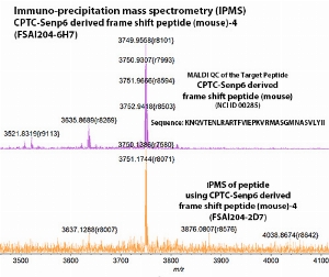 Click to enlarge image IPMS using CPTC-Senp6 derived frame shift peptide (mouse)-1 as capture Ab against CPTC-Senp6 derived frame shift peptide (mouse)-4 (NCI ID 00285) in bottom panel. Also included reference of Ag QC (top panel).