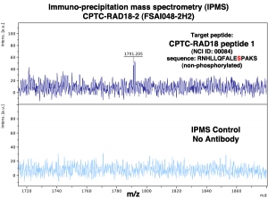 Click to enlarge image Immuno-Precipitation Mass Spectrometry using CPTC-RAD18-2 antibody with CPTC-RAD18 peptide 1 (non-phosphorylated) as the target antigen.