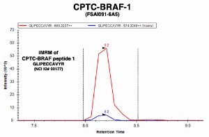 Click to enlarge image Immuno-MRM chromatogram of CPTC-BRAF-1 antibody with CPTC-BRAF peptide 1 (NCI ID#177) as target