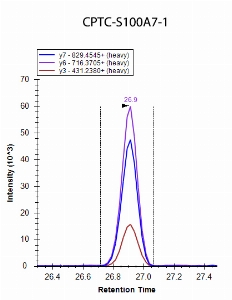 Click to enlarge image iMRM data obtain using antibody CPTC-S100A7-1 to immuno-precipitate peptide GTNYLADVFEK (CPTC-S100A7 Peptide 1)

Data provided by the Carr Lab, Broad Institute
https://www.broadinstitute.org/proteomics/protocols