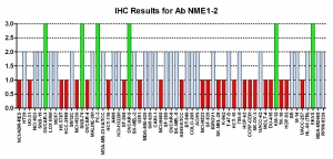 Click to enlarge image Immunohistochemistry of CPTC-NME1-2 for NCI60 Cell Line Array. Data scored as:
0=NEGATIVE
1=WEAK (red)
2=MODERATE (blue)
3=STRONG (green)
Titer: 1:50
