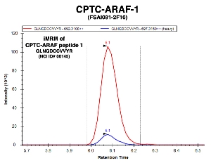 Click to enlarge image Immuno-MRM chromatogram of CPTC-ARAF-1 antibody with CPTC-ARAF peptide 1 (NCI ID#145) as target