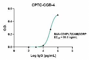 Click to enlarge image Indirect ELISA using CPTC-CGB-4 as primary antibody against BSA-conjugated 
Chorionic Gonadotropin Subunit Beta Peptide 2 (BSA-CDHPLT(CAM)DDRP).