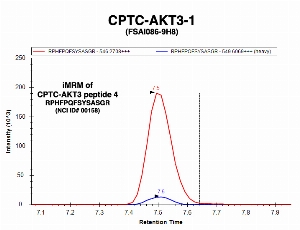 Click to enlarge image Immuno-MRM chromatogram of CPTC-AKT3-1 antibody with CPTC-AKT3 peptide 4 (NCI ID#00158) as target