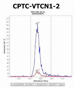 Click to enlarge image Immuno-MRM chromatogram of CPTC-VTCN1-2 antibody (see CPTAC assay portal for details: https://assays.cancer.gov/CPTAC-5982). Data provided by the Paulovich Lab, Fred Hutch (https://research.fredhutch.org/paulovich/en.html). Data shown were obtained from FFPE tumor tissue lysate pool.