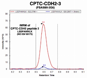 Click to enlarge image Immuno-MRM chromatogram of CPTC-CDH2-2 antibody with CPTC-CDH2 peptide 2 (NCI ID#173) as target