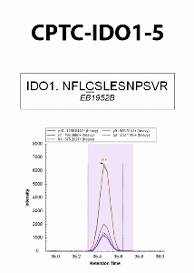 Click to enlarge image Immuno-MRM using CPTC-IDO1-5 as capture antibody against the synthetic peptide NFLCSLESNPSVR.  Antibody CPTC-IDO1-5 captures the synthetic peptide.