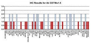 Click to enlarge image Immunohistochemistry of CPTC-GSTMu1-5 for NCI60 Cell Line Array. Data scored as:
0=NEGATIVE
1=WEAK (red)
2=MODERATE (blue)
3=STRONG (green)
Titer: 1:3000