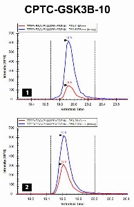 Click to enlarge image iMRM screening results for clone CPTC-GSK3B-10. The clone is able to pull down the target peptide (panel 1, CPTC-GSK3b Peptide 5, TT(pS)FAESCKPVQQPSAFGSMK) and the non-phosphorylated peptide TTSFAESCKPVQQPSAFGSMK (panel 2).