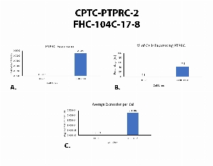 Click to enlarge image Single cell western blot using CPTC-PTPRC-2 as a primary antibody against HL-60 and CCRF-CEM cell lysates. Relative expression of total PTPRC (A).  Percentage of cells that express PTPRC (B).  Average expression of PTPRC protein per cell (C).  All data is normalized to &beta;-tubulin expression.