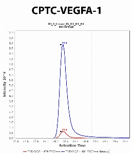 Click to enlarge image Immuno-MRM chromatogram of CPTC-VEGFA-1 antibody (see CPTAC assay portal for details: https://assays.cancer.gov/CPTAC-6210)
Data provided by the Paulovich Lab, Fred Hutch (https://research.fredhutch.org/paulovich/en.html). Data shown were obtained from frozen tissue